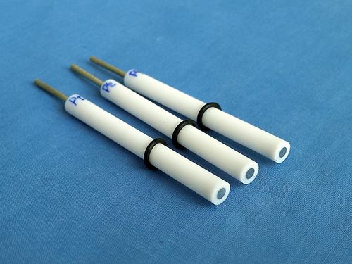 Platinum working electrode - 2mm dia