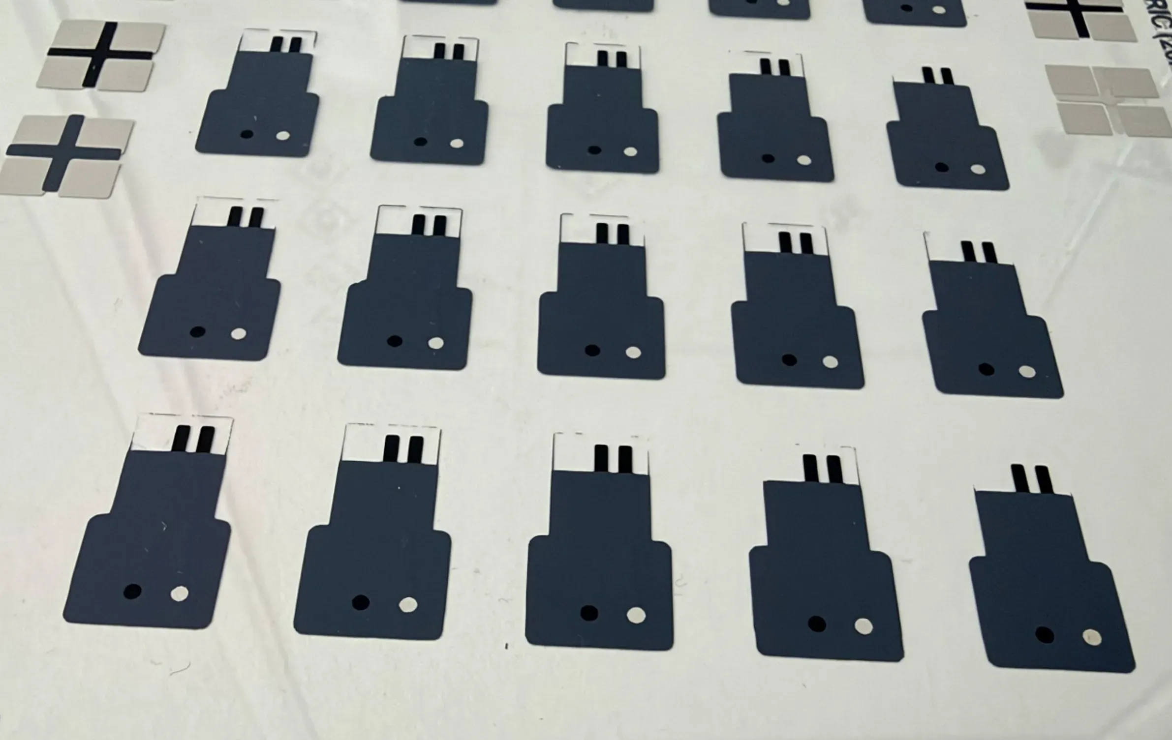 Flexible Potentiometric Screen-Printed Sensor